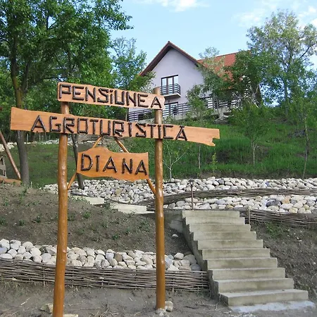 Vendégház Pensiunea Agroturistica Diana Măgura